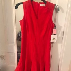 Calvin klein 4 P dress. N W T